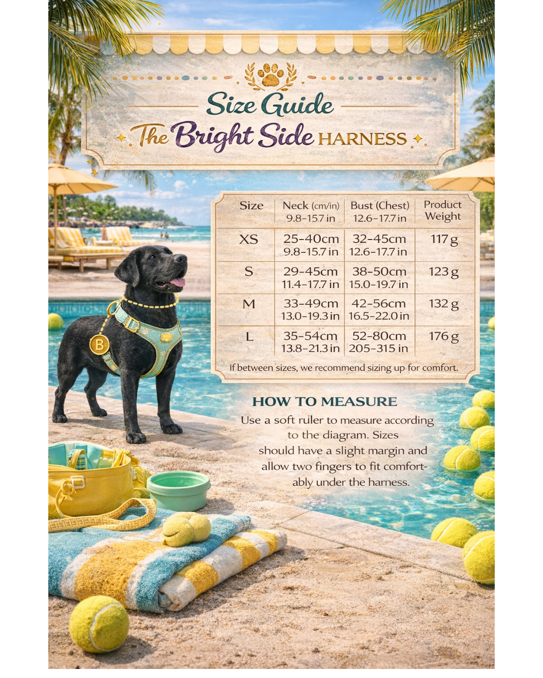 The Bright Side Cushioned Harness