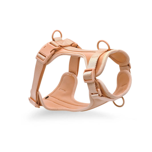 The Bright Side Cushioned Harness