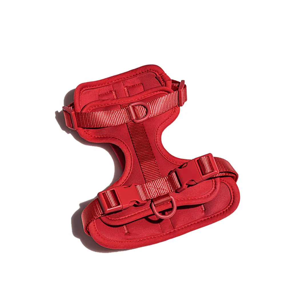 The Bright Side Cushioned Harness