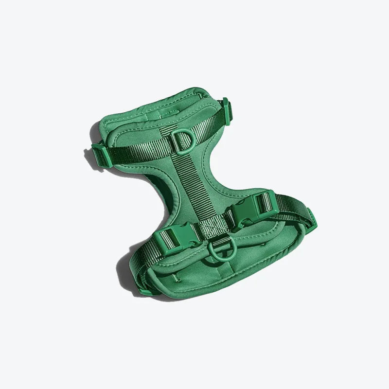 The Bright Side Cushioned Harness