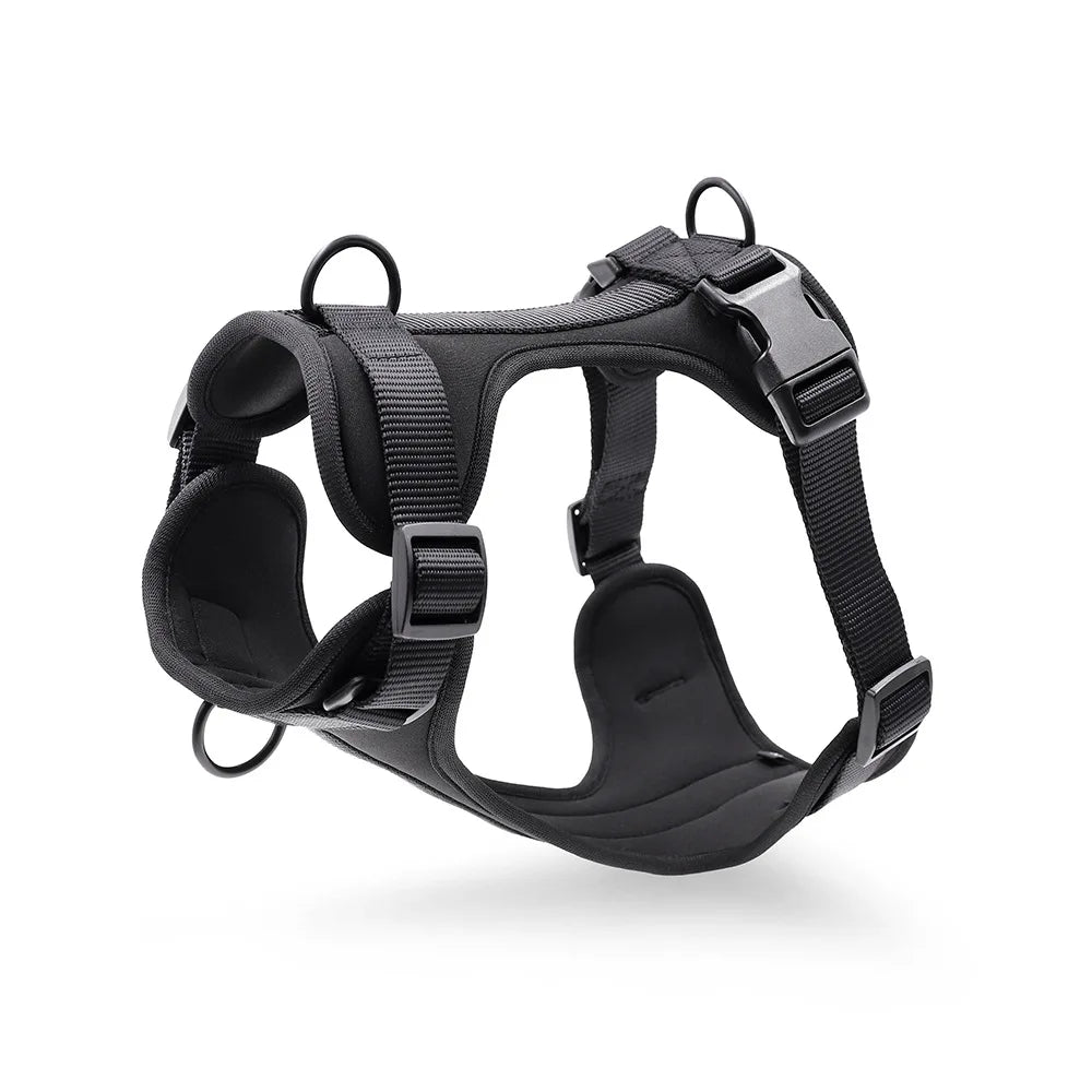 The Bright Side Cushioned Harness